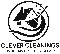 clever cleanings (250 x 250 px) (2)
